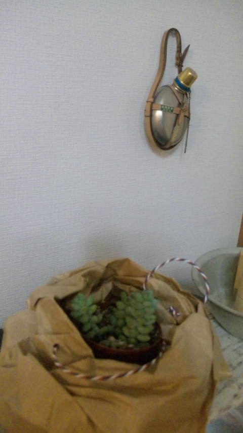 100527_201108.jpg