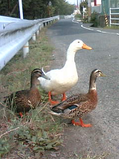 20050817_49339.jpg