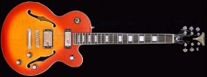 EPIPHONE Alleykat