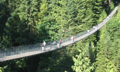 恋愛の噂・裏技・裏話_吊り橋