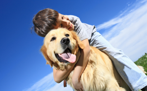 動物の噂・裏技・裏話_ペットは健康にいい