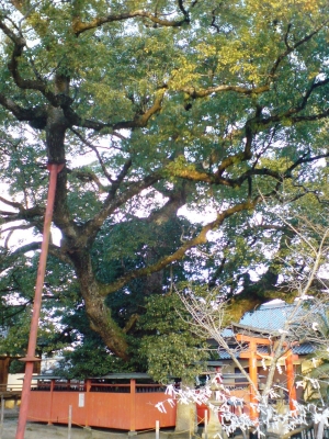 龍田神社2