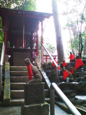 代々木八幡宮9