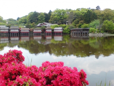 長岡天満宮2