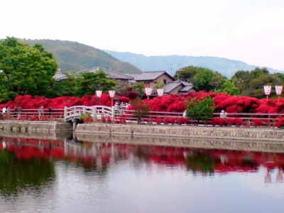 長岡天満宮3