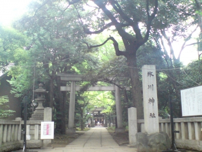 赤坂氷川神社1