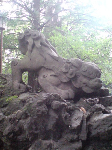 赤坂氷川神社11