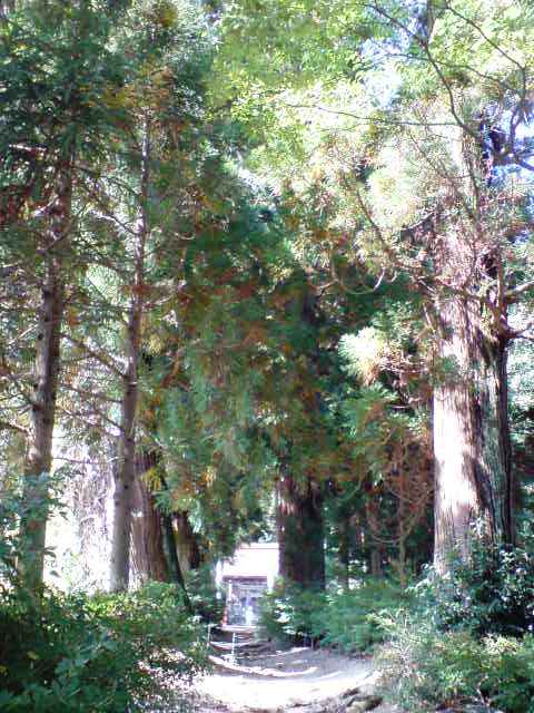 高天彦神社