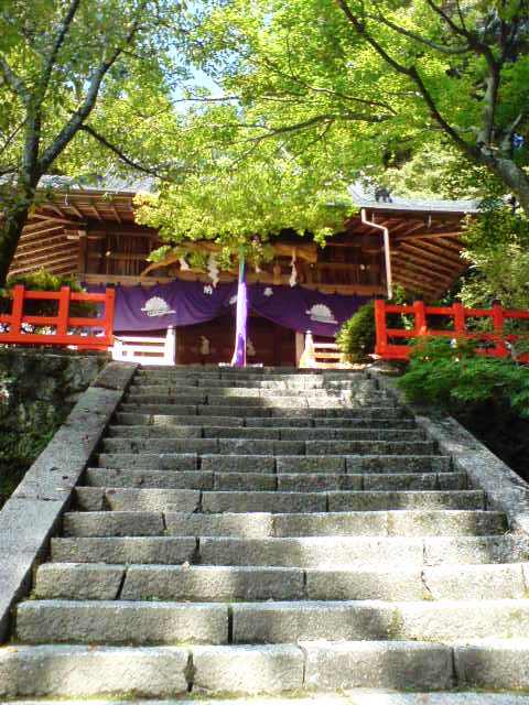 高鴨神社