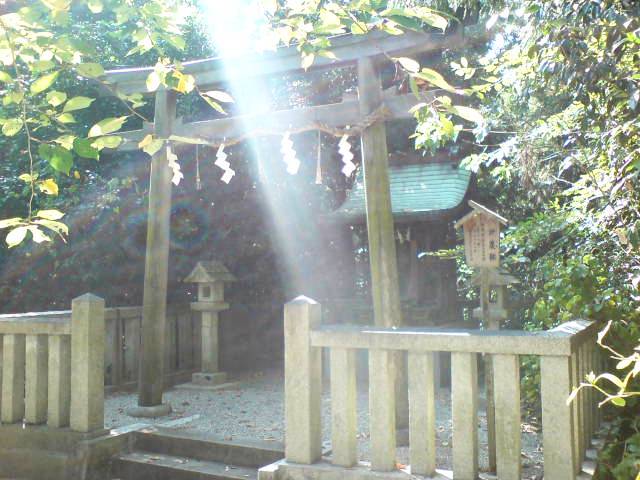 鴨都波神社