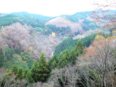 吉水神社