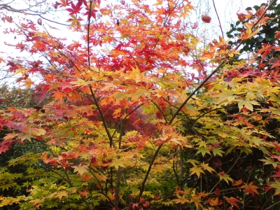 竹林院群芳園