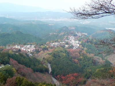 吉野上千本