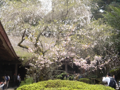 吉野水分神社