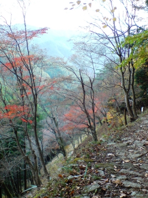 奥千本