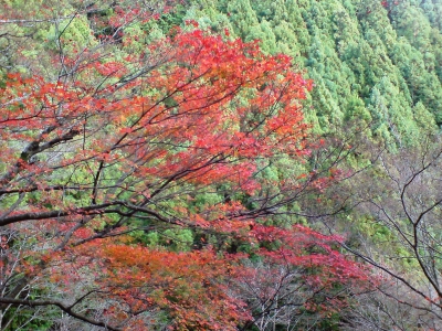奥千本