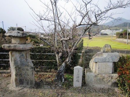 玉祖神社