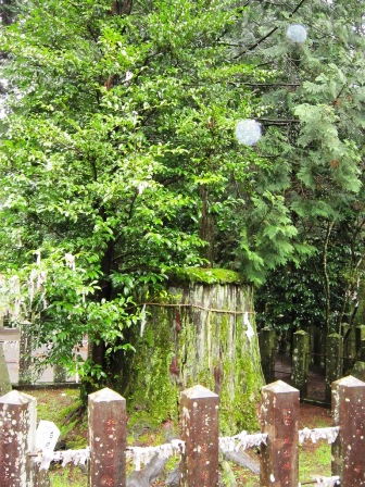 国造神社