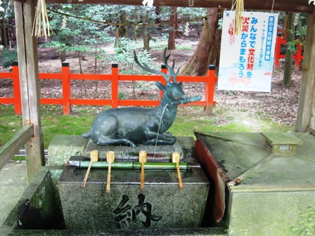Â縶Ìî¿À¼Ò