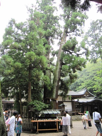大神神社