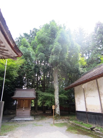 日吉大社