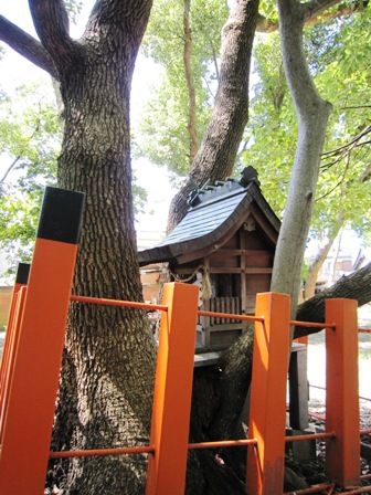 信太森葛葉稲荷神社