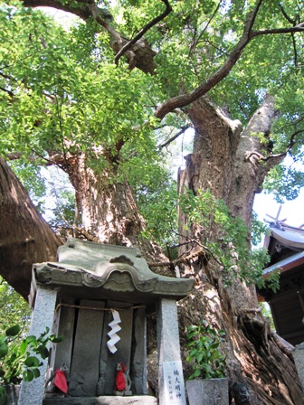 信太森葛葉稲荷神社