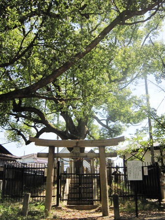 泉穴師神社