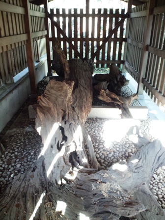 おのころ島神社