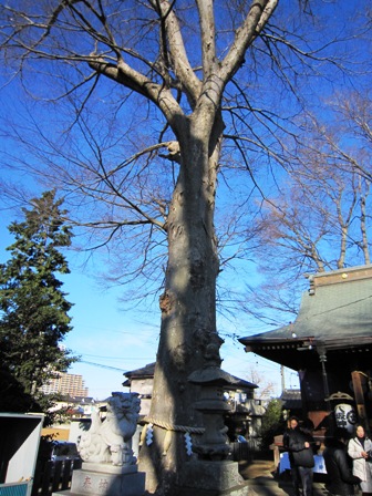 守谷 八坂神社