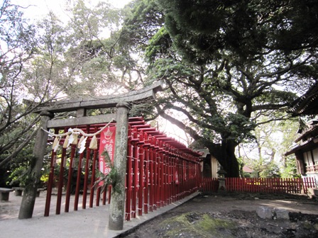 長門 八坂神社