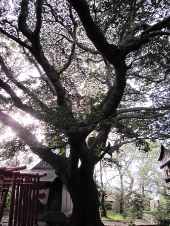 長門 八坂神社
