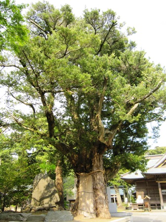 鶴谷八幡宮