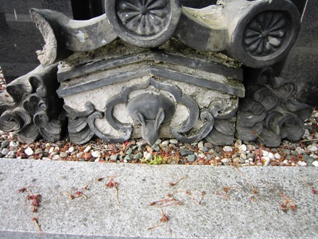 三尾神社