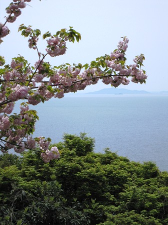 竹生島神社