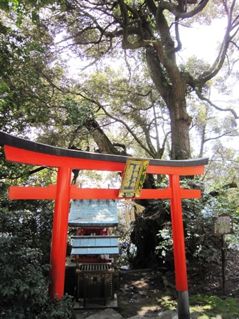 竹生島神社