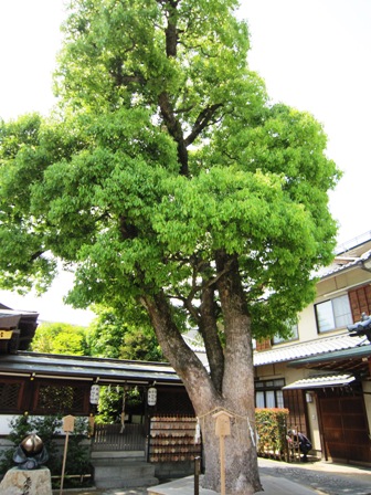 晴明神社