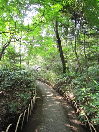 明治神宮