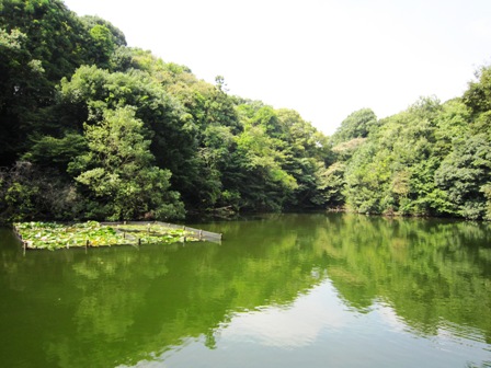明治神宮