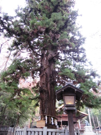 諏訪神社 秋社