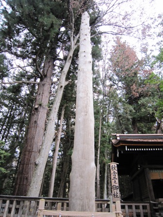 諏訪神社 秋社