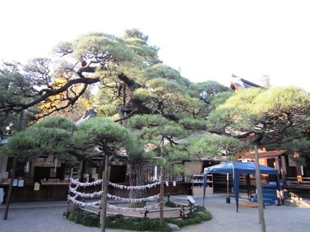 甲斐 浅間神社