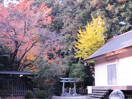 甲斐 浅間神社