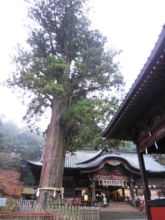 富士山本宮浅間大社