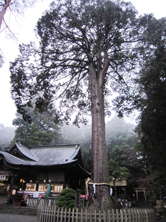 富士山本宮浅間大社