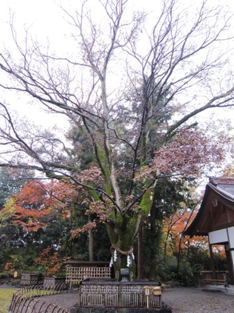 武田神社