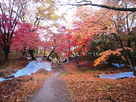 武田神社