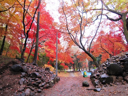 武田神社