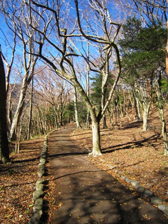 九頭龍神社