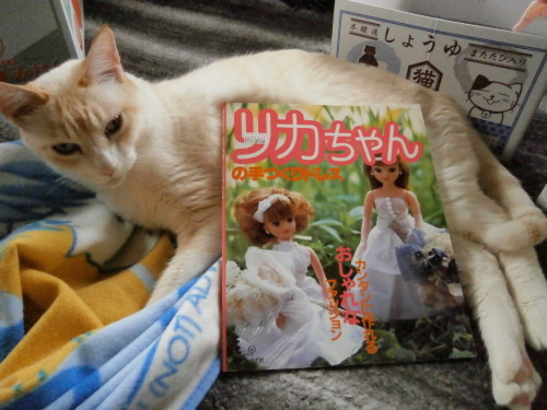 ３代目ちゃんの型紙 みっぢゃんみぢみぢ